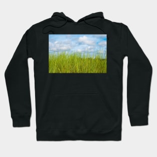 Grass and cloudy sky Hoodie